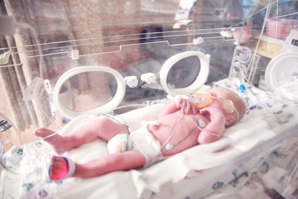 A partir de células madre del cordón umbilical crean nuevas válvulas cardiacas