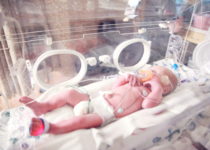A partir de células madre del cordón umbilical crean nuevas válvulas cardiacas