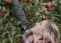 Una manzana al día mantiene lejos a cálculos renales