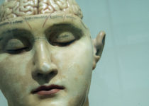 Los recuerdos se almacenan en diferentes áreas del cerebro según su antigüedad